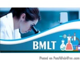 The image is a banner or advertisement for a company called BMIT. It has a blue background with a white border. On the left s...