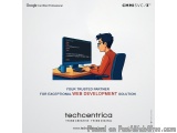 How Web Development Company Building a Strong Online Presence