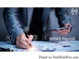 AI-Powered HRMS Payroll Software in Nigeria | Elite Mindz