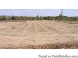 The image shows a vast open field with a clear blue sky in the background. The field appears to be dry and barren, with no ve...