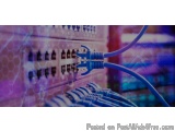 The image shows a close-up of a network switchboard with multiple network cables connected to it. The cables are blue in colo...