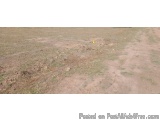 The image shows a vast open field with a dirt path winding through it. The field appears to be dry and barren, with patches o...