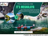 Explore Waterfalls & Living Root Bridges in Meghalaya