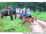 Best Resort in Jim Corbett – Corbett Mystic Inn in Jim Corbett