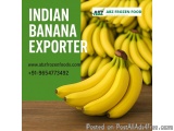 Golden Taste from India â€“ Trusted Indian Banana Exporter Worldwide