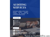 Reliable Auditing Services For Growing Businesses