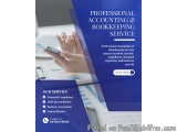 Professional Accounting & Bookkeeping Services In Lucknow