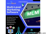The image is an advertisement for a multi-level marketing software called MetaBlock. The background of the image is blue and...