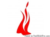 Best Development Company | Secure And Scalable Web Services Provi...