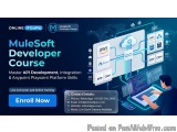Mulesoft Developer Course