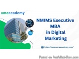NMIMS Executive MBA in Digital Marketing