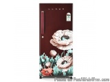 Lloyd 175l Direct Cool Fridge 1 Star Eden Wine