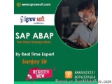 SAP S4 HANA Training in Ameerpet | Igrowsoft