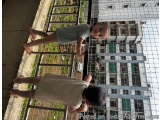 The image shows two young boys standing on a metal ladder in front of a tall building. The boy on the left is wearing a green...
