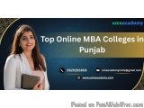 Top Online MBA Colleges in Punjab