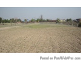 Affordable Plot For Sale In Alappuzha â€“ Ready for Development
