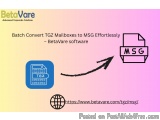 Batch Convert TGZ Mailboxes to MSG Effortlessly â€“ BetaVare Software