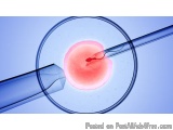The image is a 3D illustration of a blood vessel with a red blood cell in the center. The blood cell is surrounded by a blue...