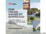 free online images to download