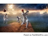 Cricket Statistics API for Fantasy Apps & Score Platforms