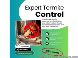 Trusted Termite Treatment Services in Delhi
