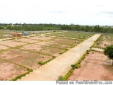 The image shows an aerial view of a large agricultural field with rows of crops planted in neat rows. The field is surrounded...