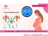 Experienced Ivf Specialist Doctor In Bangalore - Tamara Hospital...