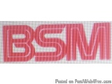 The image is a logo of the British Broadcasting Corporation (BSM). The logo is made up of a red text that reads "BSM" in a bo...