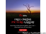 Free Online Picture Gallery