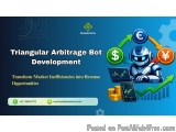 Custom Triangular Arbitrage Bot Development Services