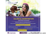 Pet-Friendly Mahabaleshwar Resorts for a Tail-Wagging Holiday