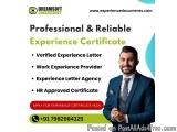 Professional Experience Certificate Provider in Odisha
