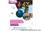 WordPress Specialists Reveal How to Fix a Slow Website Fast | HireWPexperts