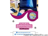 Top WordPress Development Services in USA for Custom Websites | HireWPExperts