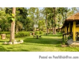 The image shows a beautiful garden with a well-manicured lawn and a thatched roof hut on the right side. The hut is yellow in...