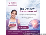 Egg Donation Process In Varanasi
