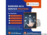 Banking as a Service Provider | Software as Service Provider
