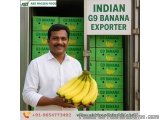 Taste the Purity, Trust the Quality â€“ Indian G9 Banana Exporter