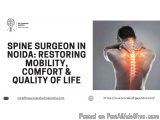 Spine Surgeon in Noida: Restoring Mobility, Comfort & Quality of Life