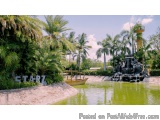 The image shows a beautiful tropical garden with a small pond in the center. The pond is surrounded by lush greenery and palm...