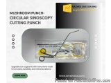 Mushroom Punch Circular Sinoscopy Cutting Punch