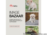 Image bazaar