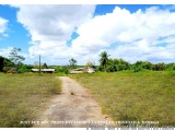 The image shows a dirt path winding through a grassy field. The sky is blue with white clouds scattered across it. On the lef...