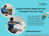 Plumber repair service in Gurgaon
