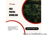 Free Photos Download