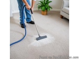 The image shows a person vacuuming a carpet with a vacuum cleaner. The person is wearing blue jeans and black shoes and is ho...