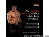 Digestive Enzymes in Whey Proteinâ€”Are They Really Worth It?