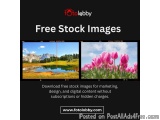 Free Stock Images