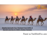 The image shows a group of people riding camels on a desert-like landscape. The sky is a beautiful orange and pink color, wit...