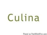 The image is a logo for a company called "Culina". The word is written in a bold, sans-serif font and is in a dark green colo...